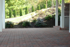 paver planting after 1