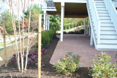 paver planting after 2