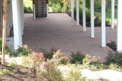 paver planting after 3
