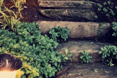 Boulder Steps with Path Lighting