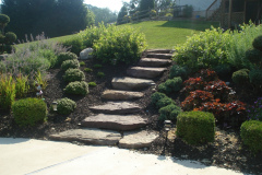 Boulder Steps Maryland