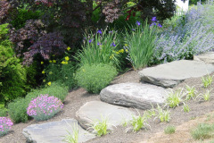 Boulder Steps