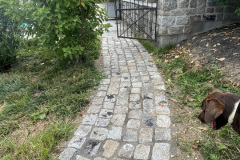 Cobblestone Walk
