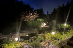 Planting with low voltage lights