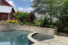 Plantings around pool and hotub