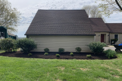 Plantings along house