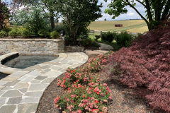 Plantings around hotub & walkway