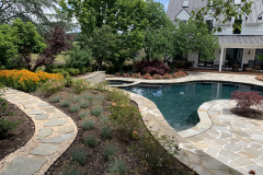 Plantings along walkway & pool