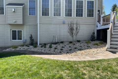 Plantings along house & walkway