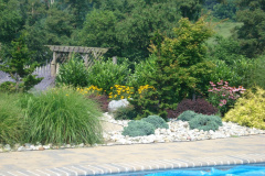 Planting Projects Maryland