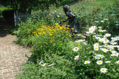Planting Projects Maryland
