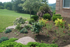Planting Projects Maryland