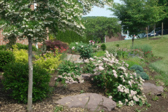 Planting Projects Maryland