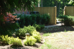 Planting Projects Maryland