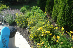 Planting Projects Maryland