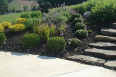 Planting Projects Maryland