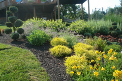 Planting Projects Maryland
