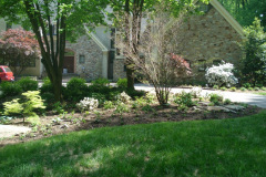 Planting Projects Maryland