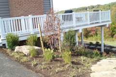 Planting Projects Maryland
