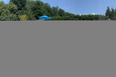 IMG_2823-Copy