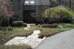 Planting Projects Maryland