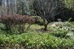 Planting Projects Maryland