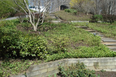Planting Projects Maryland
