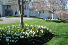 Planting Projects Maryland