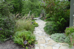 Planting Projects Maryland