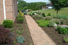 Planting Projects Maryland