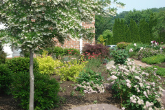 Planting Projects Maryland