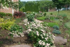 Planting Projects Maryland