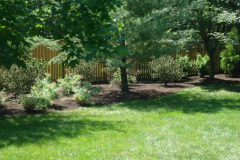 Planting Projects Maryland