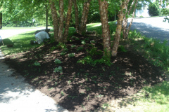 Planting Projects Maryland