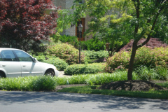 Planting Projects Maryland