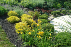 Planting Projects Maryland