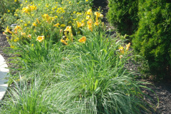 Planting Projects Maryland