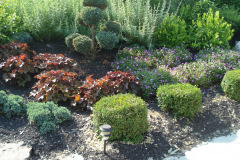 Planting Projects Maryland
