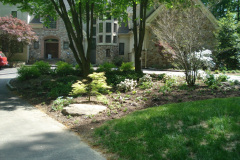 Planting Projects Maryland