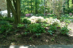 Planting Projects Maryland