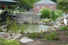 Ponds & Waterfalls