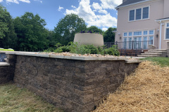 Vlad-pool-wall-3